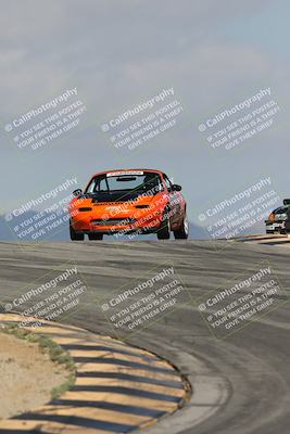 media/Oct-11-2025-Lucky Dog Racing (Sat) [[f5b53147c4]]/2-First Stint/2-Turns 9 and 10/